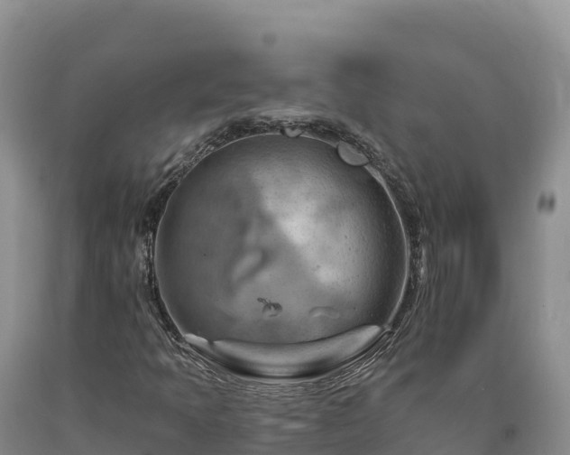 X0000090631397200707241141