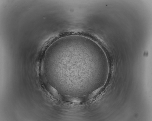 X0000090631398200707241141