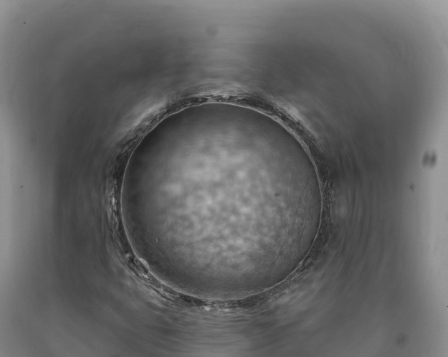 X0000090631399200707241141