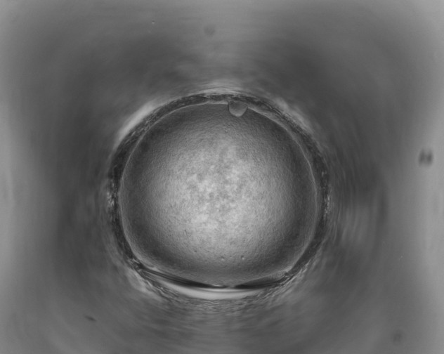 X0000090631400200707241141