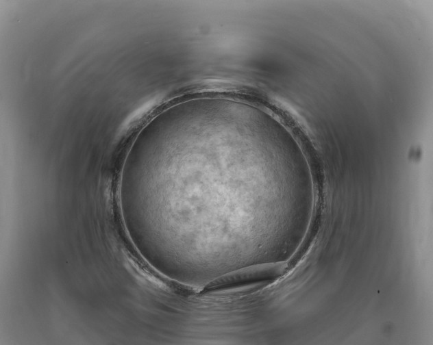 X0000090631403200707241141