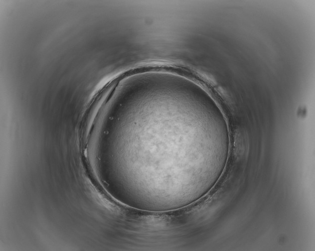 X0000090631404200707241141