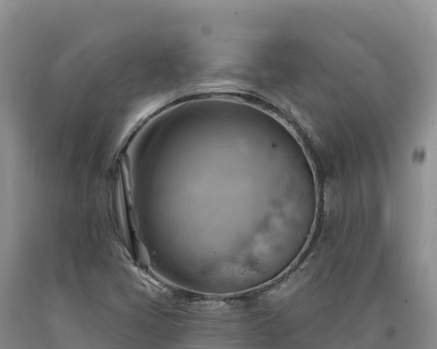 X0000090631405200707241141