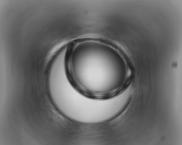 X0000090631406200707241142
