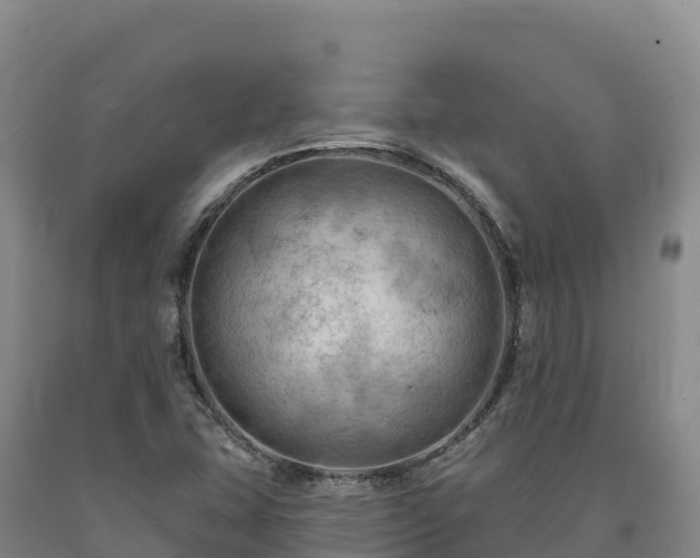 X0000090631407200707241142