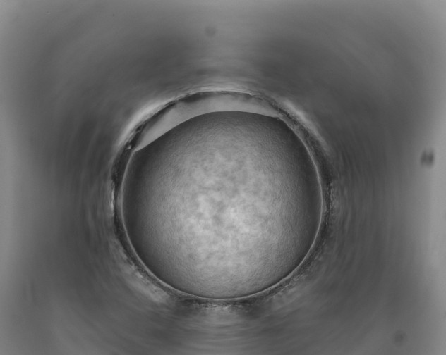 X0000090631408200707241142