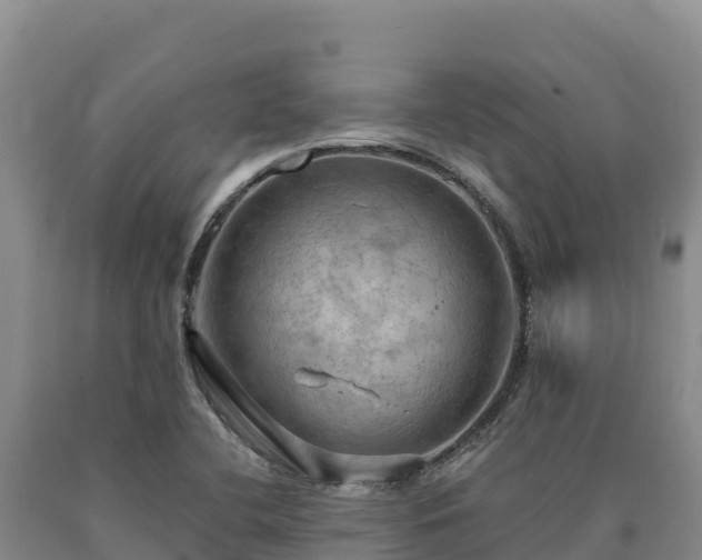 X0000090631412200707241142
