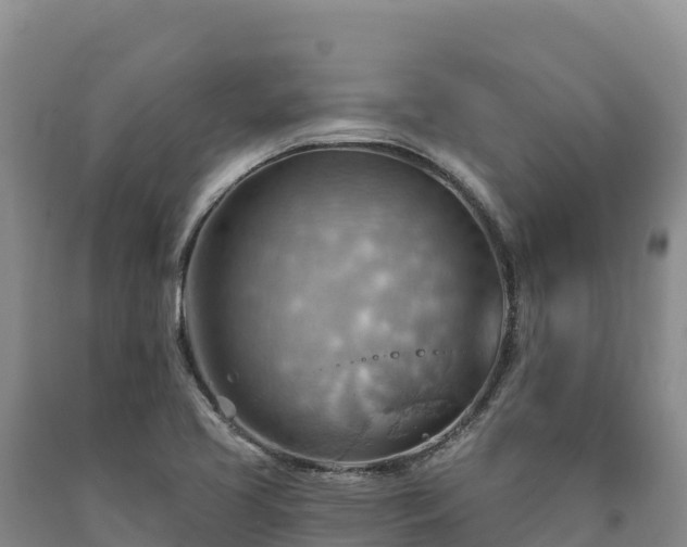 X0000090631413200707241142