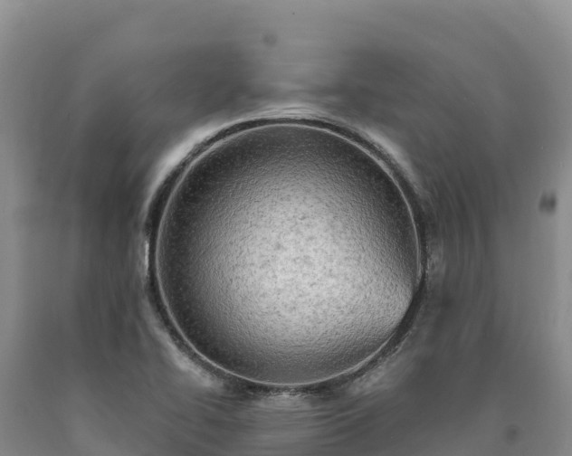 X0000090631414200707241142