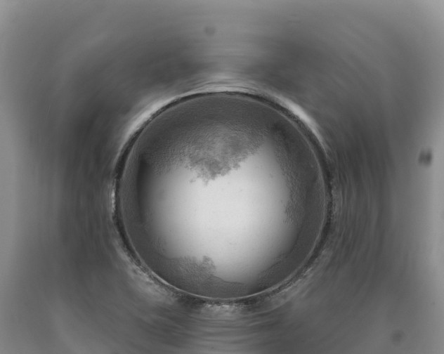 X0000090631415200707241142