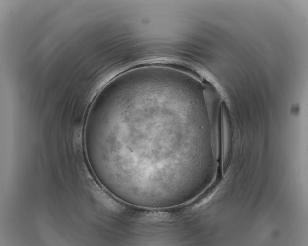 X0000090631417200707241142