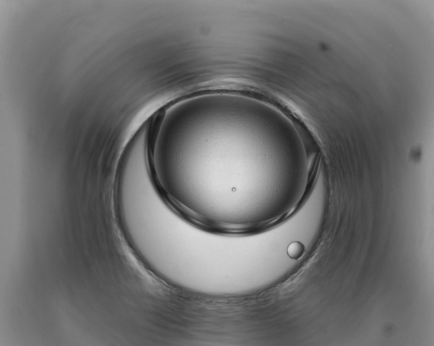 X0000090631418200707241142