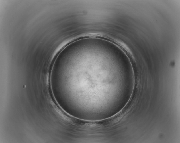 X0000090631420200707241142
