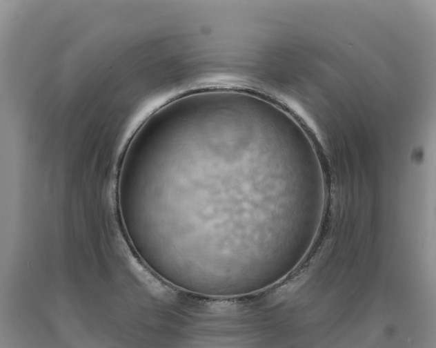 X0000090631421200707241142