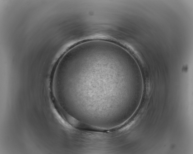 X0000090631422200707241142