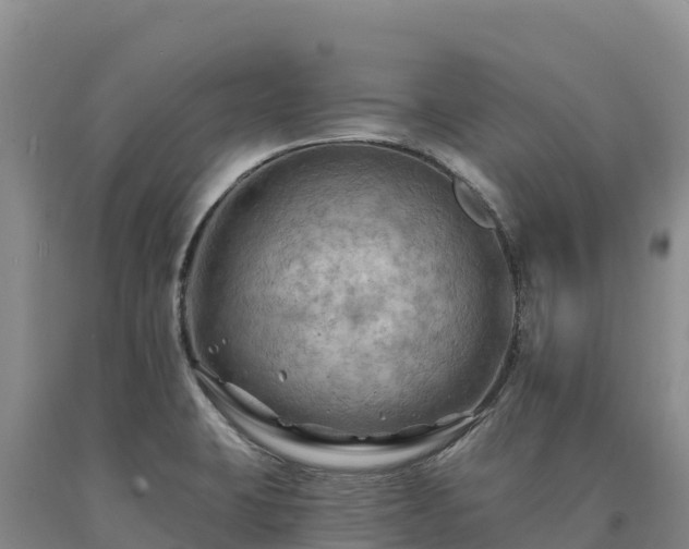 X0000090631423200707241142
