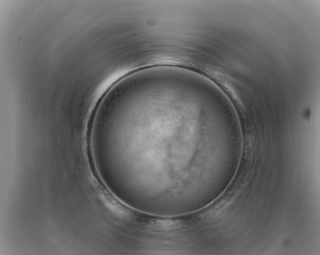X0000090631427200707241142