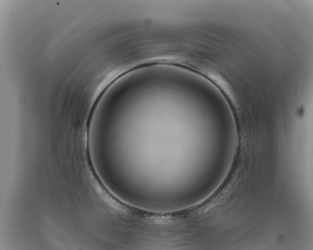 X0000090631428200707241142