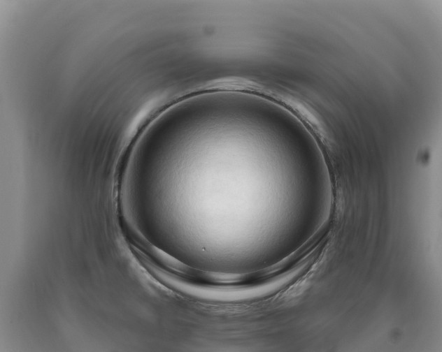 X0000090631430200707241142