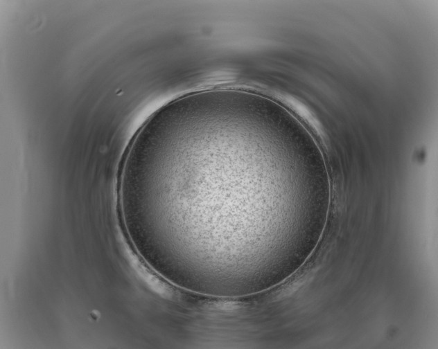 X0000090631431200707241142
