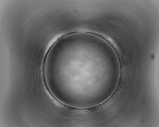 X0000090631432200707241142
