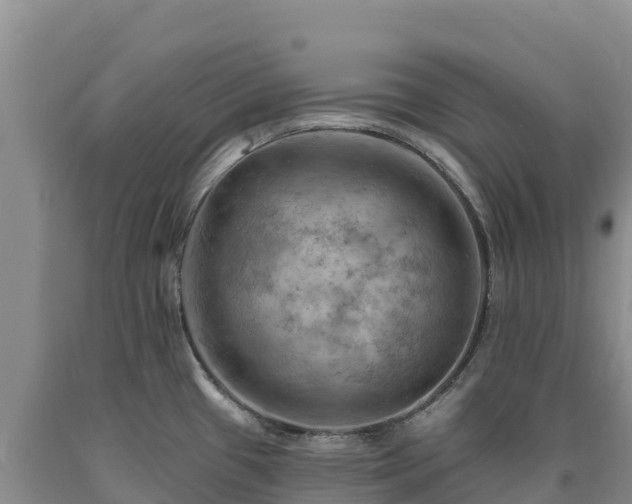 X0000090631433200707241142