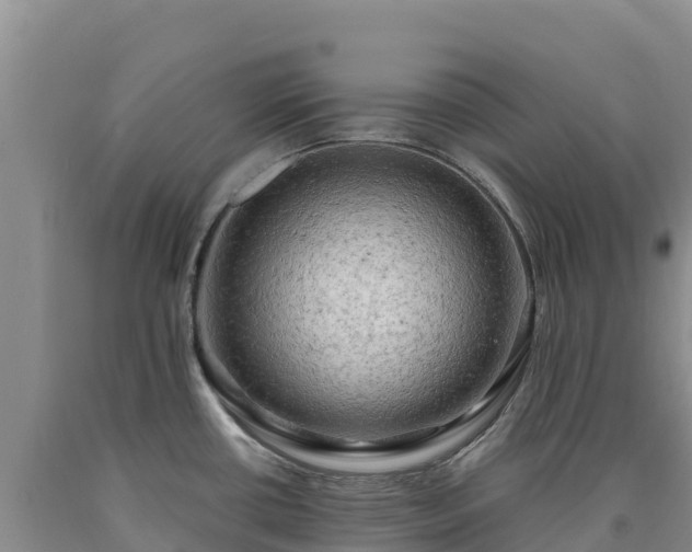 X0000090631434200707241142