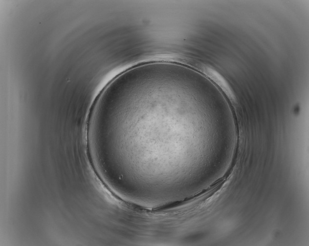 X0000090631436200707241142