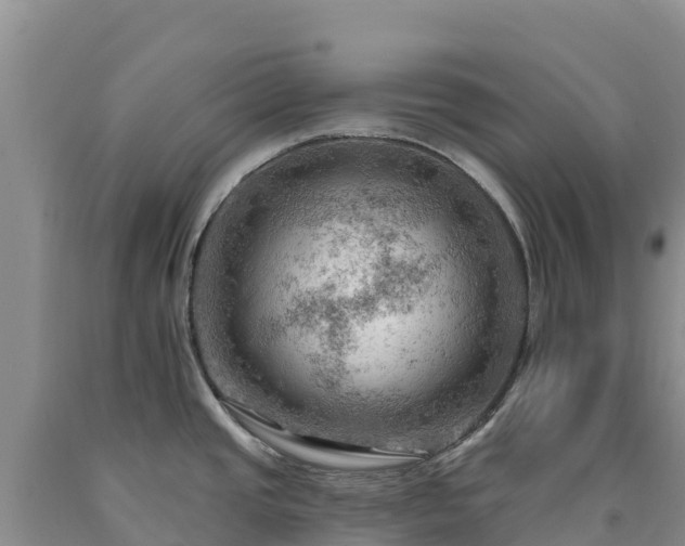 X0000090631437200707241142