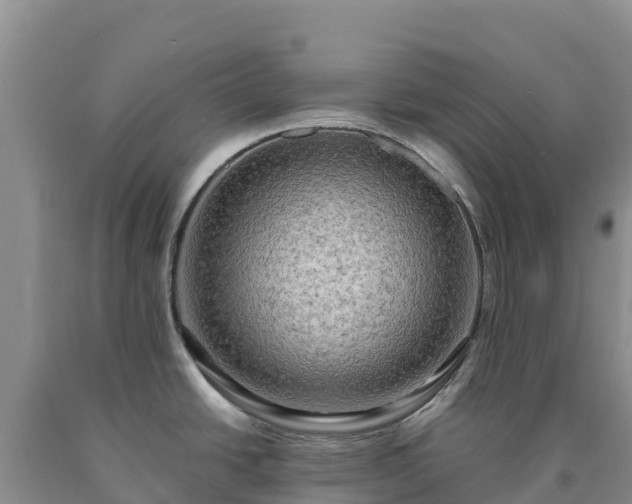 X0000090631438200707241142