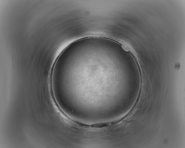 X0000090631440200707241142