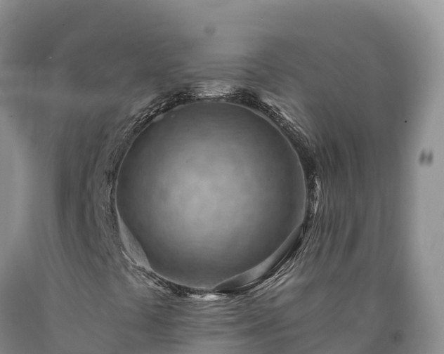X0000090631441200707241141