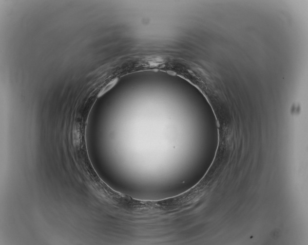 X0000090631442200707241141