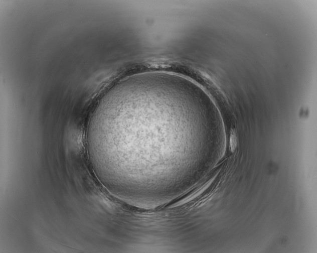 X0000090631444200707241141