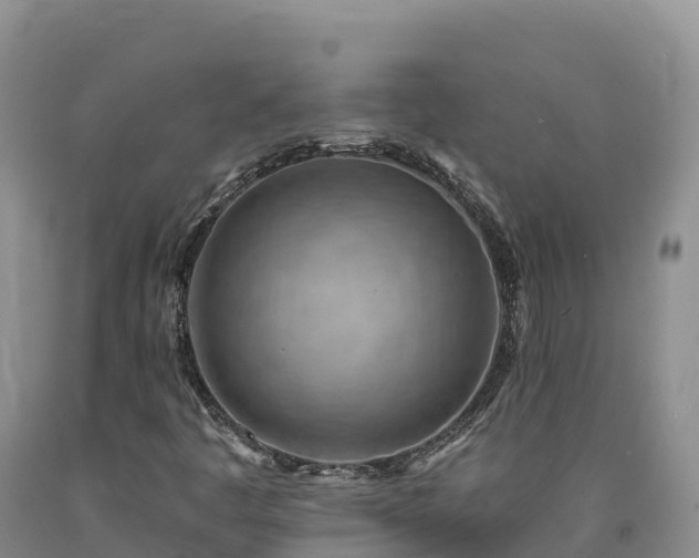 X0000090631445200707241141