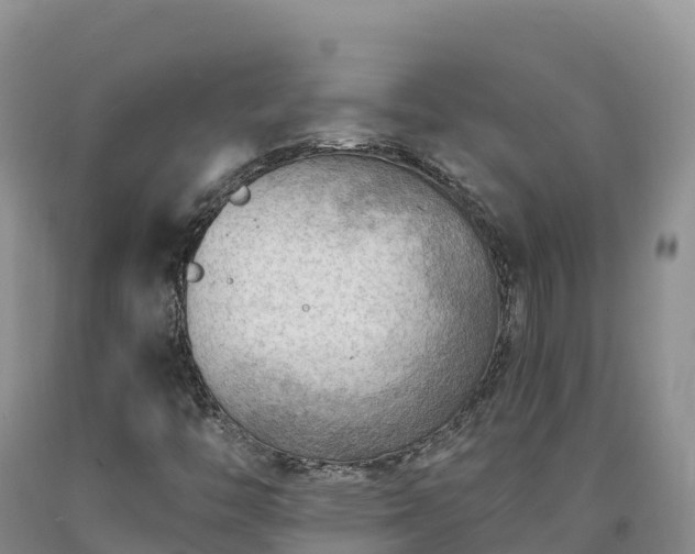 X0000090631446200707241141