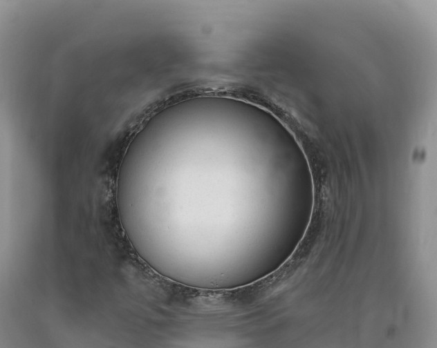 X0000090631447200707241141