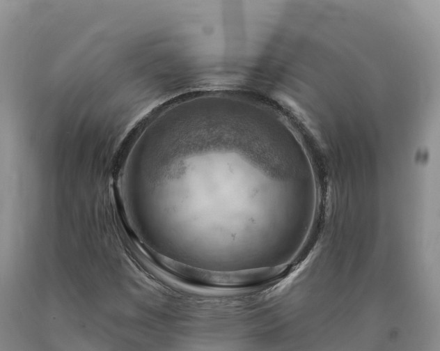 X0000090631449200707241141