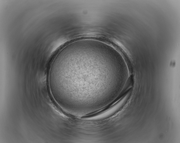 X0000090631450200707241141