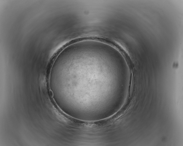 X0000090631452200707241141