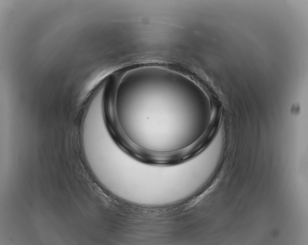 X0000090631453200707241141