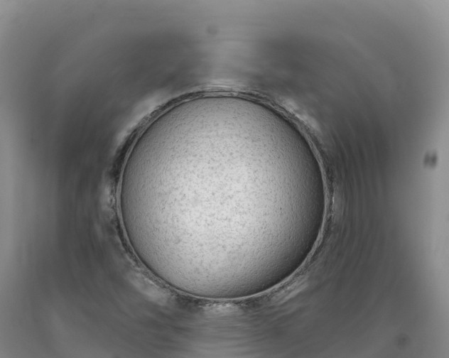 X0000090631454200707241141