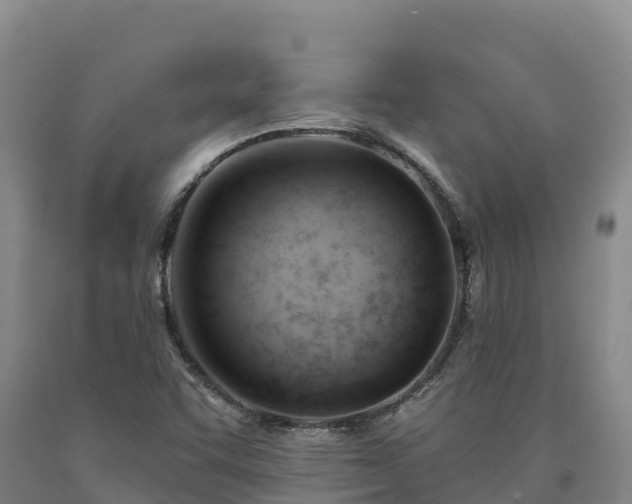 X0000090631455200707241141