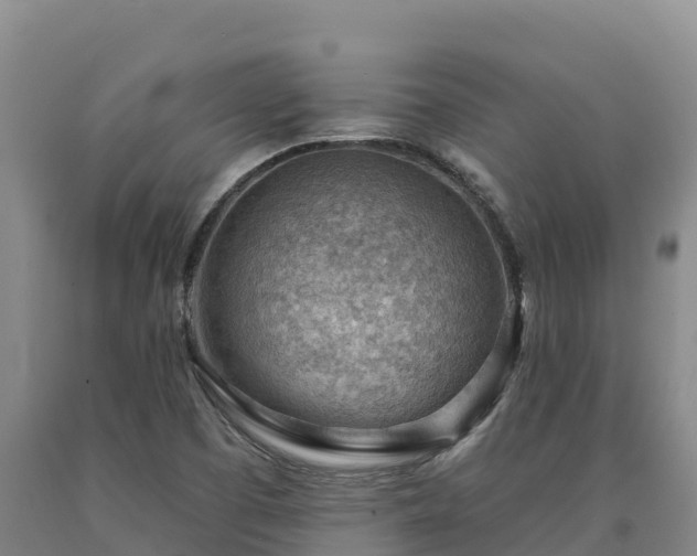 X0000090631457200707241141
