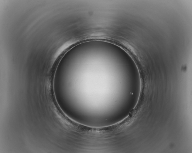 X0000090631458200707241141