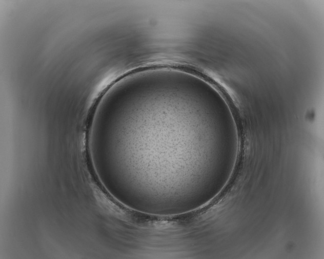 X0000090631459200707241141