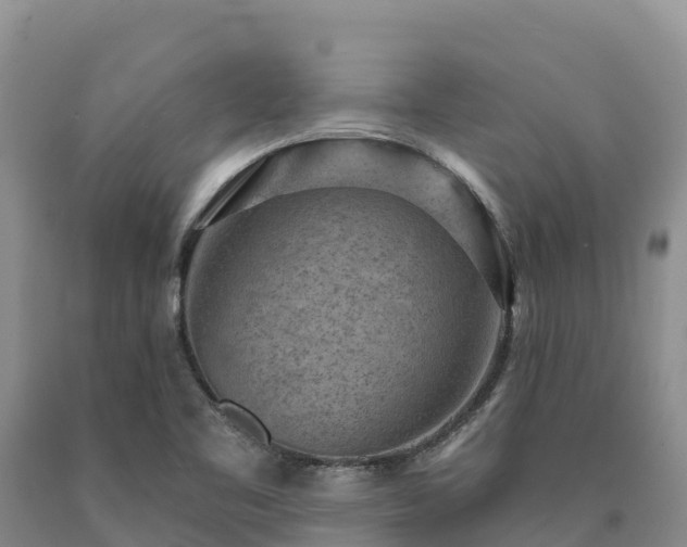 X0000090631461200707241141