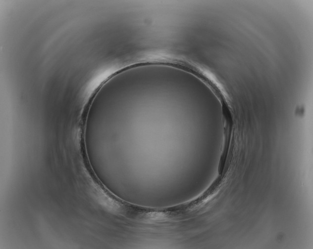 X0000090631463200707241141