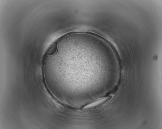 X0000090631464200707241141