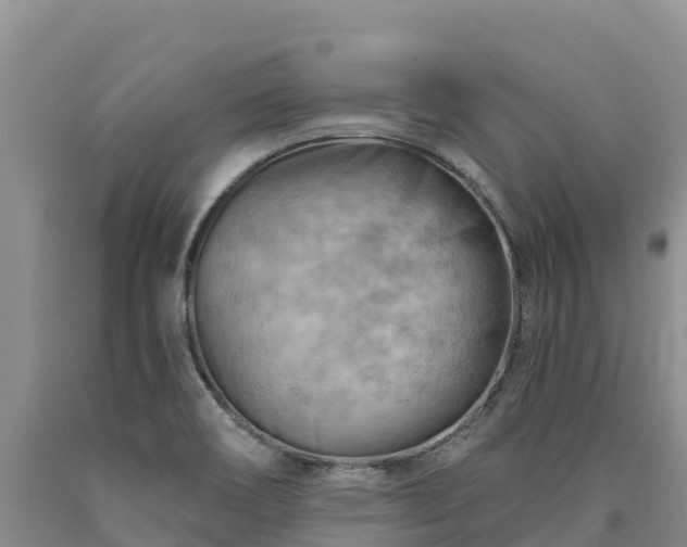 X0000090631466200707241141